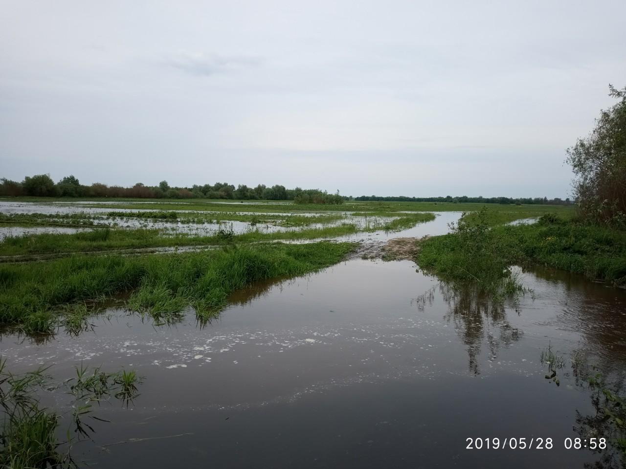 река горынь