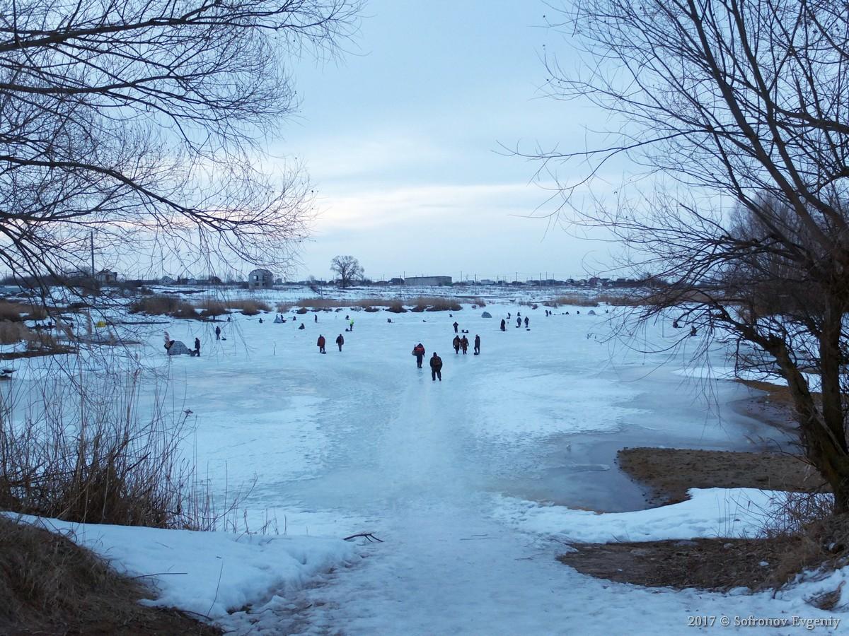 столинский район фото