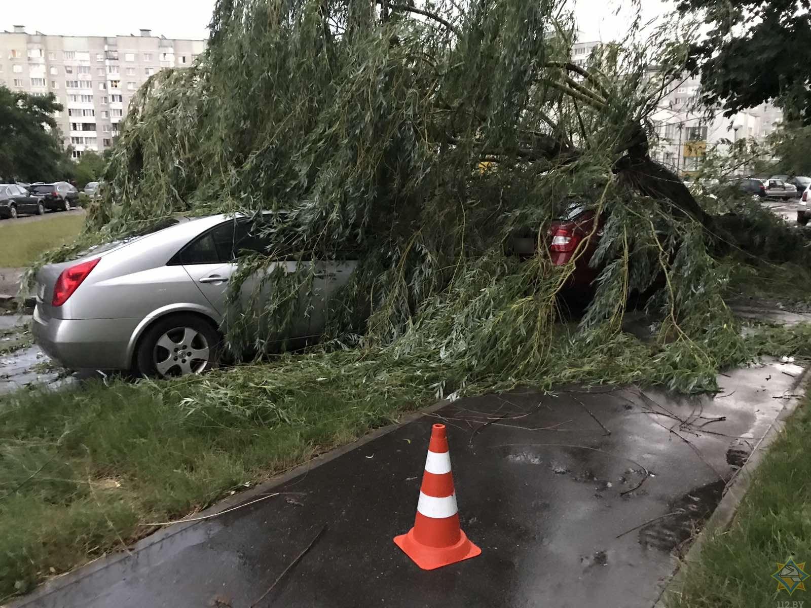 Дерево упало на машину в Тюмени